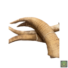 Foam Horns Realistic Props Drop Dead Design Studios