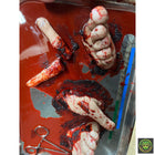 Severed Feet and Fingers Surgical Tray Prop Realistic Props Drop Dead Design Studios