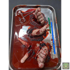 Severed Feet and Fingers Surgical Tray Prop Realistic Props Drop Dead Design Studios