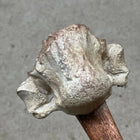 Bone Axe Prop Realistic Props Drop Dead Design Studios 