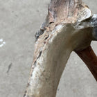 Bone Axe Prop Realistic Props Drop Dead Design Studios 