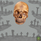 Foam Full Head Skull Realistic Props Drop Dead Design Studios 