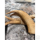 Foam Horns Realistic Props Drop Dead Design Studios 