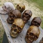 Foam Full Head Skull